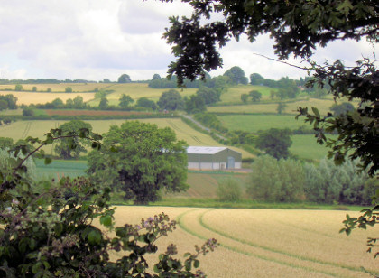 Steel framed grain store for agricultural use.