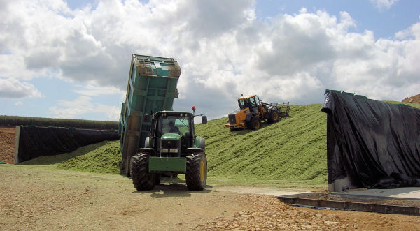Silage clamps and pits.