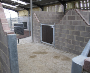 Steel stable curved channel door posts.